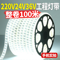 LED light strip 220V outdoor waterproof basement tunnel construction site lighting decorative lighting white light strip 24V36V