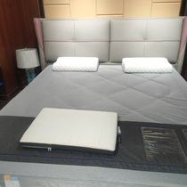 Macro-Mattress Minimalist Home Economy Modern Net Red Burst Casual Light Extravagant Creative Double 655 H Bamboo Charcoal 450