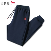 Red Dragonfly Winter Men Casual Plus Suede Knit Cotton Pants 2022 100 Hitch Foot Long Pants Warm Elastic Pants