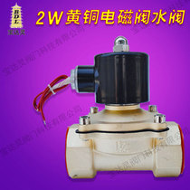 Padaoling valve 2W-160-15 full copper normally closed liquid with gas for 4 minutes 6-1 inch spot