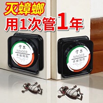 Cockroach medicine Whole nest end household deworming Non-non-toxic cockroach bait Kitchen cockroach nemesis Xiaoqiang one nest end pass kill