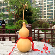 Natural extra large gourd medium home pendant ornaments evil spirits town house safe harvest Feng Shui Bao gourd