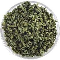 Apocynum tea Xinjiang Lop Nur origin wild first stubble super sprout health tea