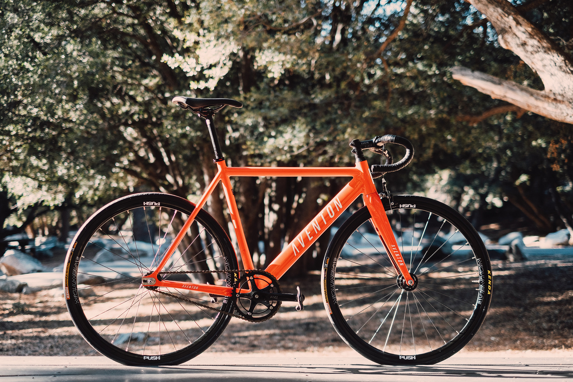 Aventon cordoba Codoba venue dead-speed bicycle frame