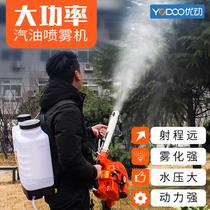 Gasoline mist machine hit pesticide two-stroke knapsack garden fruit tree powder spraying agricultural high-pressure disinfection sprayer