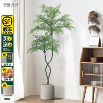 Jacaranda potted simulation plants fake green plants decoration indoor living room high-end light luxury bionic green plant decoration landing