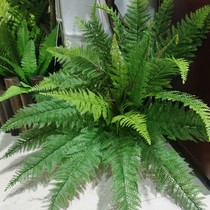 Fern simulation green plant background wall window wedding decoration creative potted feel Persian grass big fern leaves