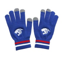 (Spot) Xiaoxia handmade purchase Shanghai Shenhua official surrounding 2020 new gloves