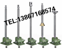 Factory direct SWL25T worm gear screw lift electric screw lift platform electric screw lifter