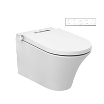 Axent One Plus Intelligent Hanging Toilet Delivery Hidden Water Tank Flushing Panel and Ceramic Body Free Installation