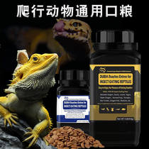  Magic maned lion lizard granular feed BAO WEN Shougong gel Blue tongue climbing pet lizard general food made in Asia