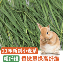 21-year new excellent hay drying wheat grass rabbit grain Chinchow pig feed forage gross weight 1000g