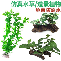 Turtle tank landscaping Small fish tank landscaping decoration simulation fake water plant package Turtle seedlings anti-drowning simulation