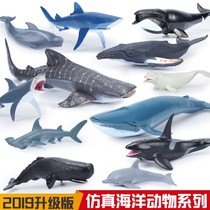 Childrens toy simulation marine animal seabed biological model great white shark shark dolphin sperm whale cake jewelry