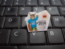 2016 Winter Youth Olympic Games Lillehammer Norway badge NOC badge of the Belarusian Olympic Committee