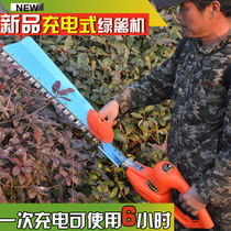 New electric hedge trimmer brushless tea clipper Lithium battery green fence trimmer rechargeable tea tea tree trimmer