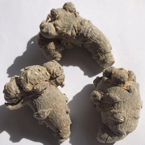 Old farmer notoginseng authentic Wenshan no cut mouth slick head spring notoginseng whole 203040 head notoginseng can be broadcast live powder