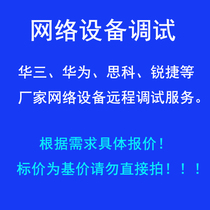 Dual network card setting firewall router switch remote configuration debugging service network technical support