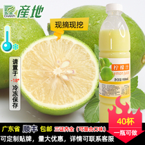 Frozen green lemon juice fresh squeezed kumquat ingredients jam hot drink shop milk tea use 2kg