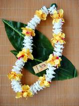 Hawaiian hula garlands Dance props Neck rings Performance props accessories Beach seaside accessories Garlands