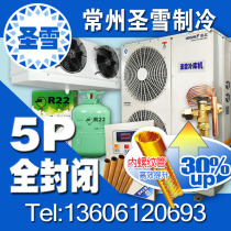 Cold storage integrated unit 5 Copeland fully enclosed cold storage refrigerator Food and fruit preservation refrigeration and freezing full set