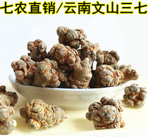 Miaojia notoginseng Yunnan Wenshan notoginseng head 20 head 30 head 40 head 60 head 500g can be used as a substitute powder
