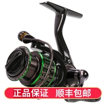 Fishing house Cute bird Jaguar Grand-speed freak wind micro-matter Pan-wheel fishing wheel fishing wheel with spinning wheel road subround fishing wheel