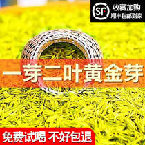 Zhejiang white tea Anji 2021 New Tea Mingqian Golden Bud tea authentic loose bag rare alpine green tea 250g