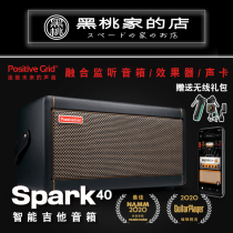 Positive Grid smart electric guitar speaker Spark effects inside recording acoustic guitar bass outdoor audio