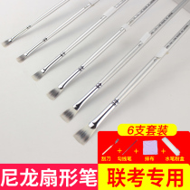 Sakura fan nylon water chalk set color watercolor oil painting trumpet single soft hair acrylic pigment joint test