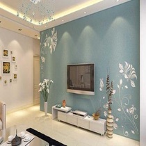  Hexi shop Haoerbao air purification inorganic coating Wall wall material