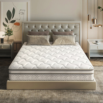 Home Comfort Spring Mats Dreambed Mat Latex Mattresses Coconut Palm Cushion 4D Maglev Childrens Edition Special Price