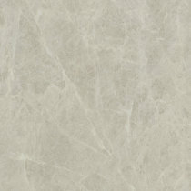 CH8820AS Marco Polo tile full cast glaze living room bedroom floor tile kitchen bathroom wall tile 800*800