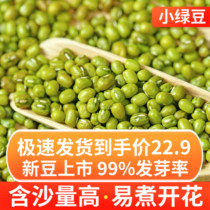 New mung beans small mung beans 5 pounds of farmers  own production of bean sprouts special mung bean soup porridge ingredients Mung bean sand raw materials
