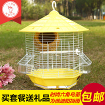 New plastic top rainproof parrot supplies wire tiger skin peony Pearl hexagonal bird cage