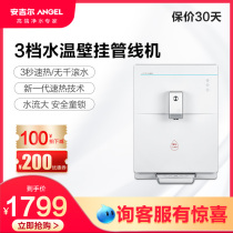 Angier Pipeline Machine Home Wall-mounted Kitchen Instant Hot Water Dispenser Y2518 Tepid