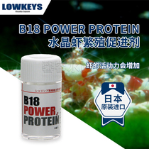 JAPANESE LOWKEYS CRYSTAL SHRIMP REPRODUCTION ENHANCEMENT PROMOTION B18 POWER PROTEIN QUEEN SHRIMP PROTEIN