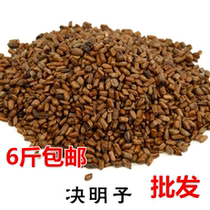 Semen Cassiae 5 kg grass semen cassiae clean bulk Chinese herbal medicine supply 500g grams of pillow core