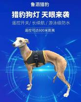Dog back light Lu Si cheetah new second generation upgraded version remote tracking dog light charging four lamp beads