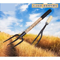 Manganese Steel Forged Beat Hand Fork Turpoon Fork Hoe Fork two strands Three-stock Fork Landscaping artisan agriturismong Pine Soil Home Tools