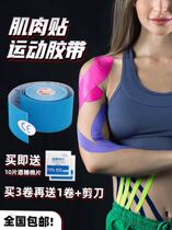 Cotton elastic muscle exercise muscle internal effect cloth elastic bandage tape tape tape rubber cloth strain knee soreness muscle paste
