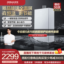 Boss Gas Water Heater Gas gas Home Electric intelligent frequency conversion thermostatic bath Anti-freeze 14 l 602