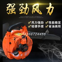 Portable gasoline hair dryer Wind fire extinguisher Fire extinguisher Snow blower Blower Road site leaves