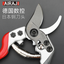 Pruning shears fruit trees pruning shears imported garden and gardening peeler knives pruning shears scissors scissors scissors