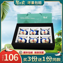 Lanzhou fresh sweet Lily dry Gansu specialty super edible sulfur-free vacuum packaging big emperor 6 gift boxes