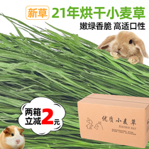  21 years drying wheat grass hay Rabbit Dutch pig Chinchilla Guinea pig forage grain feed grass Gross weight 1000g