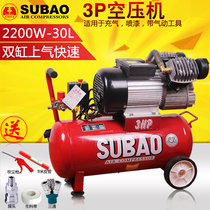 Double leopard air pump air compressor painting 3p 4p double cylinder 0 25 small air pump copper wire woodworking air compressor