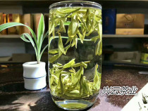 Mingqian 2021 New tea tasting premium authentic rare Anji white tea Alpine Green Tea Yuqian 250g in bulk