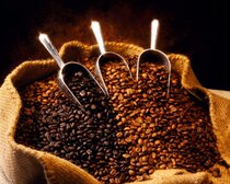 Custom Roasted Ethiopian Coffees: Harrar Sidamo