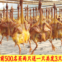 Air-dried chicken Hubei Jingmen Shinlipu whole chicken whole chicken whole salted chicken farm homemade special chicken air-dried pickled chicken wind chicken